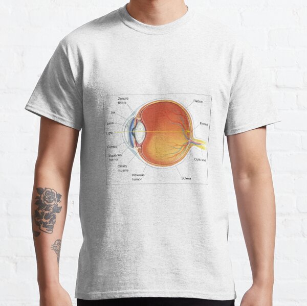 The eye diagram for kid's human anatomy diagrams Classic T-Shirt