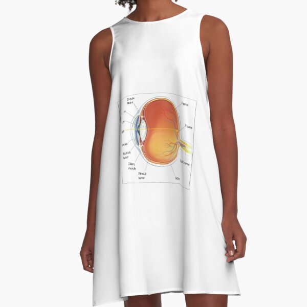 The eye diagram for kid's human anatomy diagrams A-Line Dress