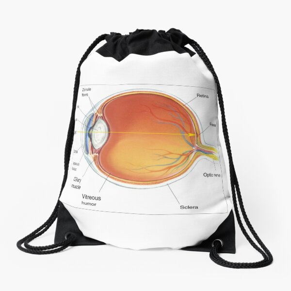 The eye diagram for kid's human anatomy diagrams Drawstring Bag