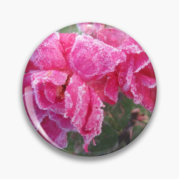 Item preview, Frosted Rose designed and sold by lezvee.