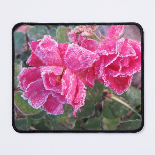 Item preview, Frosted Rose designed and sold by lezvee.