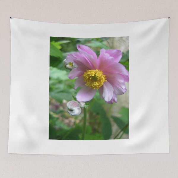 Item preview, Windflower (Anemone) designed and sold by lezvee.