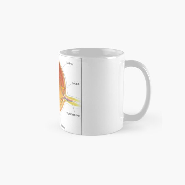 The eye diagram for kid's human anatomy diagrams Classic Mug