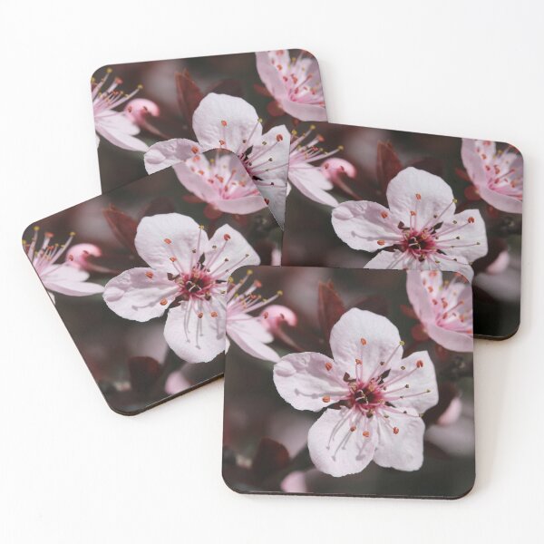 Item preview, Spring Blossom designed and sold by Lauren Elizabeth Photograhy AU.