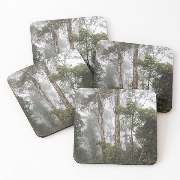 Item preview, Fog At Katoomba NSW designed and sold by Lauren Elizabeth Photograhy AU.