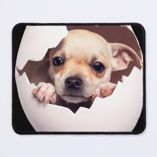 Item preview, Dog in the Egg designed and sold by FunnyDesignsArt.