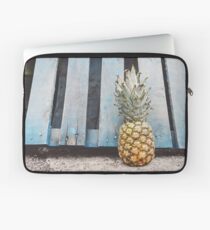 Die Stimmung in der Ananas Laptoptasche