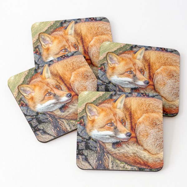 Item preview, Sleepy Red Fox designed and sold by Dalyndigital Photography.