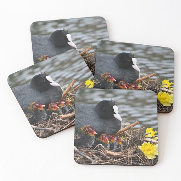 Item preview, Coot Family Portrait designed and sold by ClaireChown.