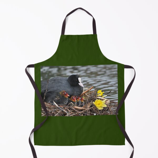 Item preview, Coot Family Portrait designed and sold by ClaireChown.
