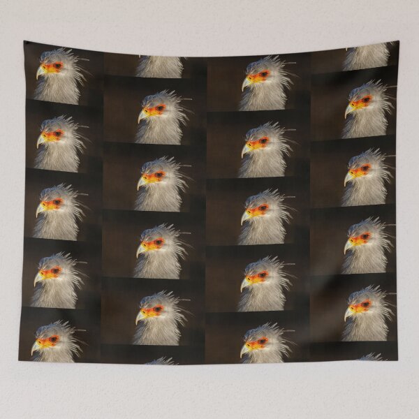 Item preview, Gorgeous light on a Secretary bird designed and sold by Dalyndigital Photography.
