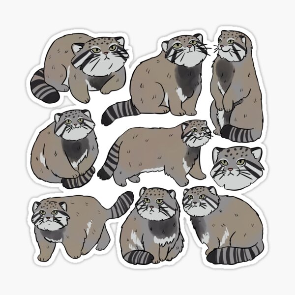 Cute raccoon illustration  Sticker for Sale by Yarafantasyart