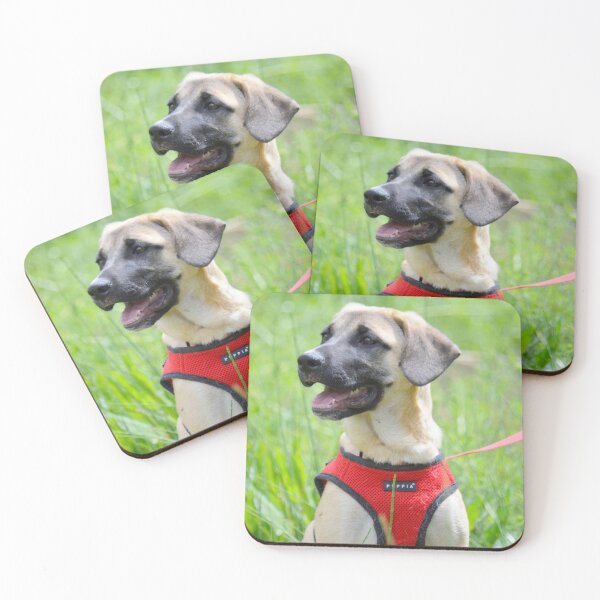 Item preview, Puppy named Love designed and sold by AH Fotography.