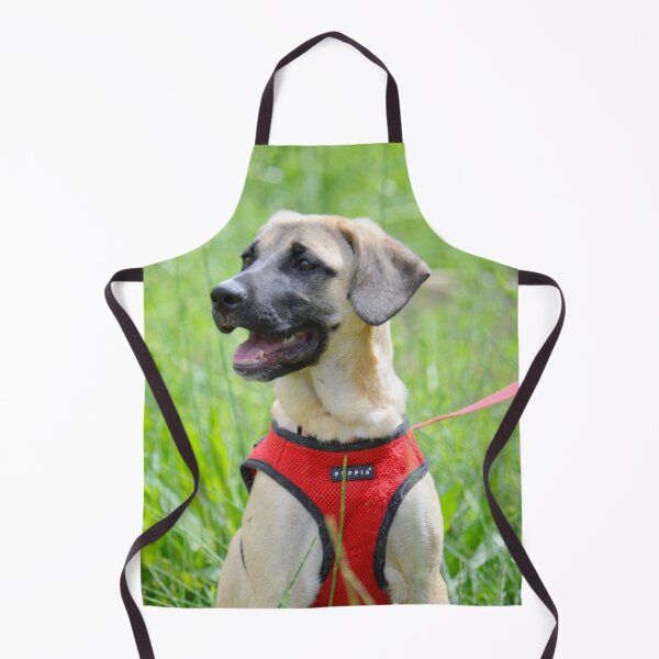 Item preview, Puppy named Love designed and sold by AH Fotography.