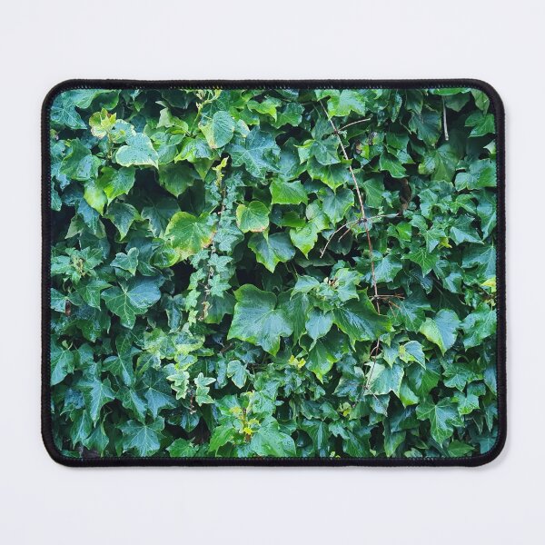 Item preview, Deep Green Ivy Wall designed and sold by texturebank.