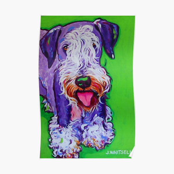 Colorful Fun Cesky Terrier - Similar to Schnauzer- j. Whitsell Art Poster