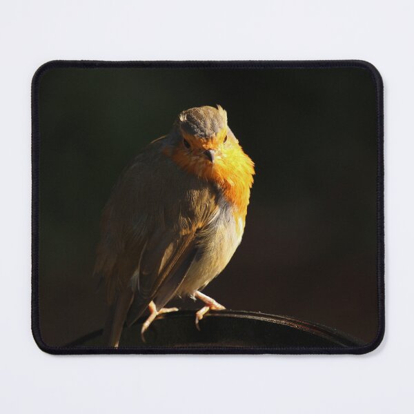 Item preview, Robin Redbreast Facing Camera Vertical designed and sold by eddiebarronshop.