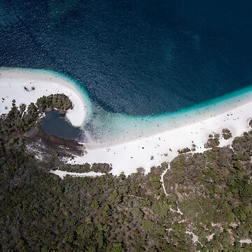 Vorschaubild zum Design Lake McKenzie - Fraser Island - Australien von Portalius