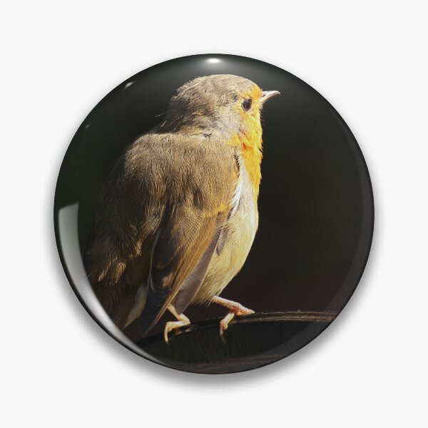 Item preview, Robin Redbreast on Garden Chair Vertical Late Summer designed and sold by eddiebarronshop.