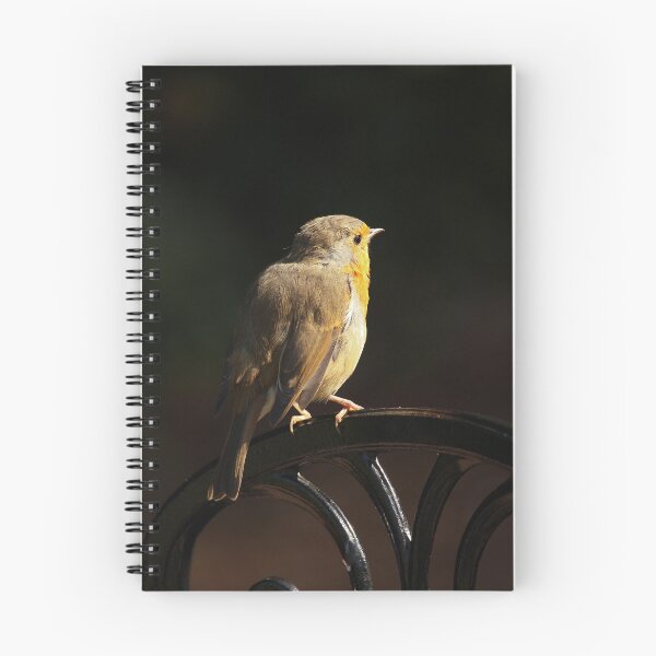 Item preview, Robin Redbreast on Garden Chair Vertical Late Summer designed and sold by eddiebarronshop.