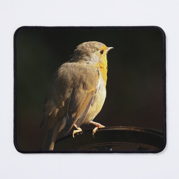 Item preview, Robin Redbreast on Garden Chair Vertical Late Summer designed and sold by eddiebarronshop.