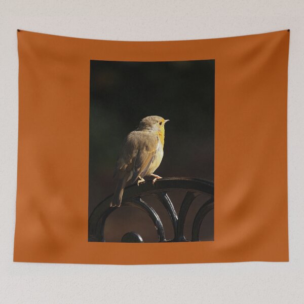 Item preview, Robin Redbreast on Garden Chair Vertical Late Summer designed and sold by eddiebarronshop.