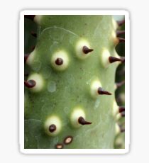 Bitter Aloe Sticker