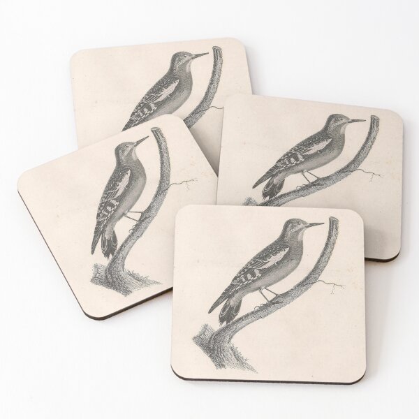 Item preview, Young Spotted Woodpecker Bird designed and sold by ptMaker.