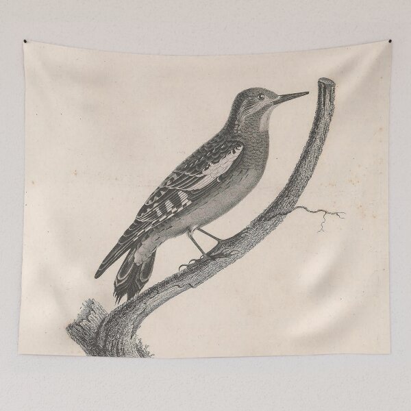 Item preview, Young Spotted Woodpecker Bird designed and sold by ptMaker.