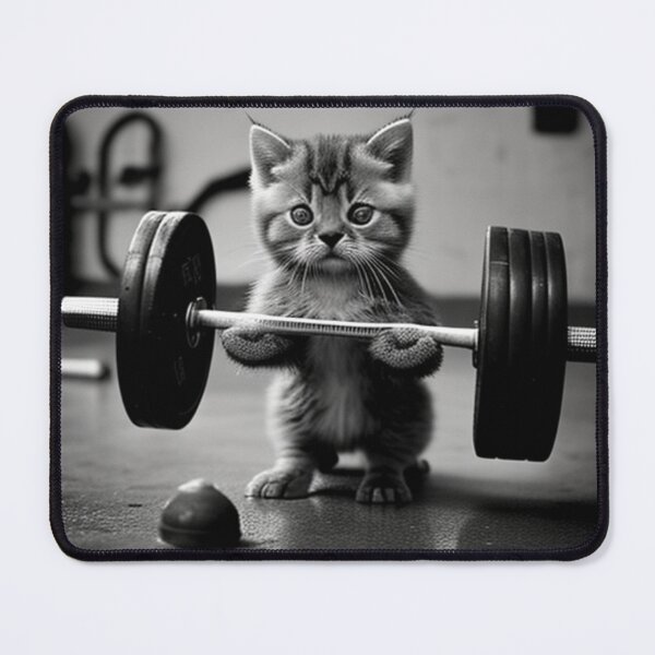 Item preview, bodybuilding cat designed and sold by ORVIATO.