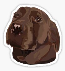 Chocolate Lab Sticker
