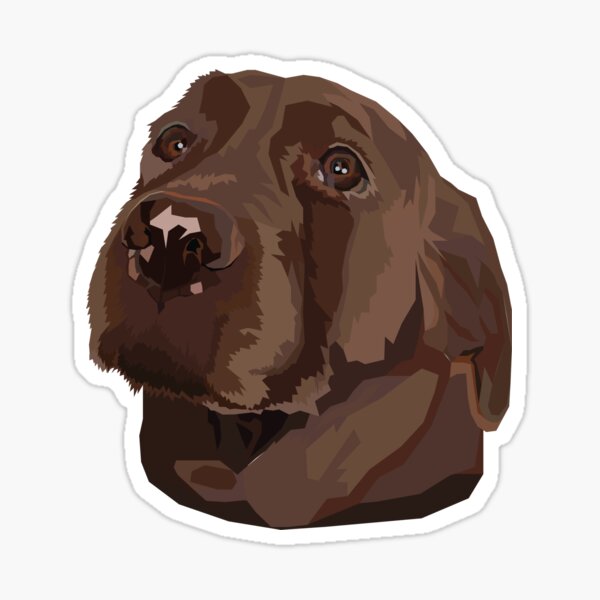 Chocolate Lab in a Yeti Cooler  Sticker for Sale by Cactus0