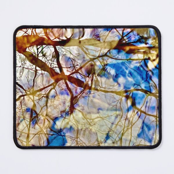 Item preview, Reflections in the woods designed and sold by Susan Gallup.