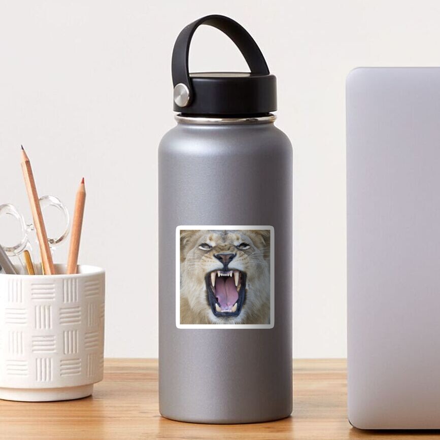 The Lions Mouth Opens Sticker