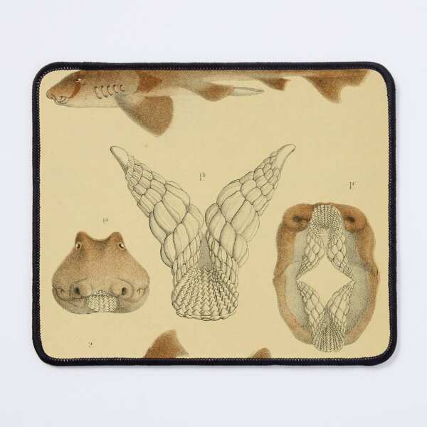 Item preview, Intimidating Bull Dog Shark Design for Ocean Enthusiasts designed and sold by ptMaker.