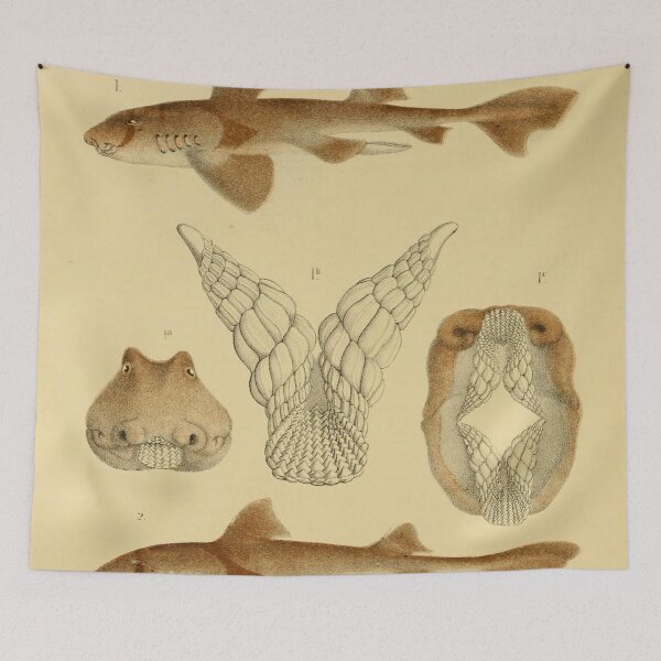 Item preview, Intimidating Bull Dog Shark Design for Ocean Enthusiasts designed and sold by ptMaker.