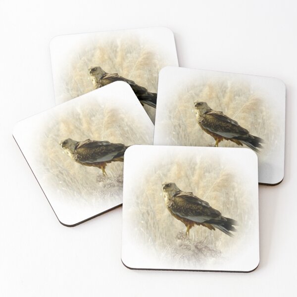 Item preview, Marsh harrier designed and sold by Guardi71.