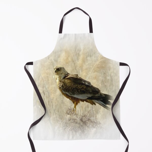 Item preview, Marsh harrier designed and sold by Guardi71.