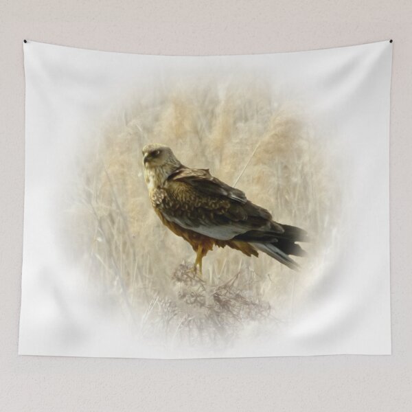 Item preview, Marsh harrier designed and sold by Guardi71.