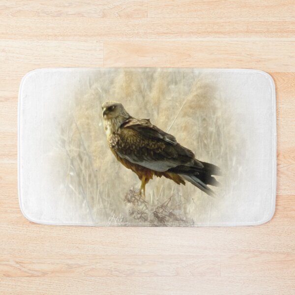 Item preview, Marsh harrier designed and sold by Guardi71.