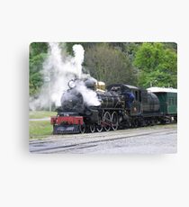 All Steamed Up - Kingston Flyer, NZ Canvas Print