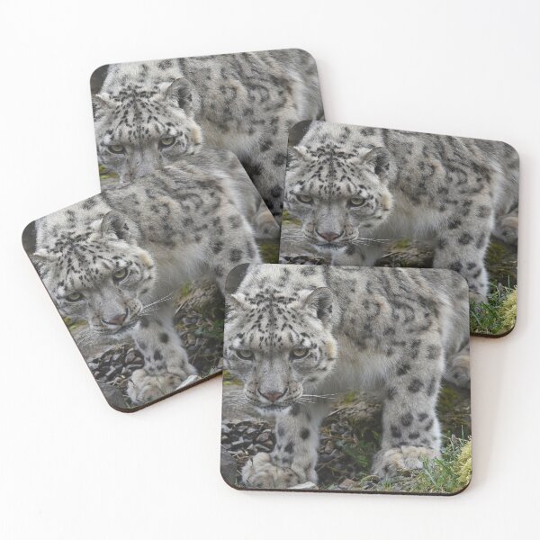 Item preview,  snow leopard looking for food running down a rocky hillside  designed and sold by Photogold Photo Gifts.
