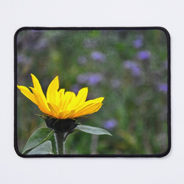 Item preview, Maybe You Forgot designed and sold by Denise Abé.