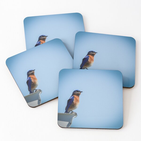 Item preview, Eastern Bluebird  designed and sold by Stephanie Harney.