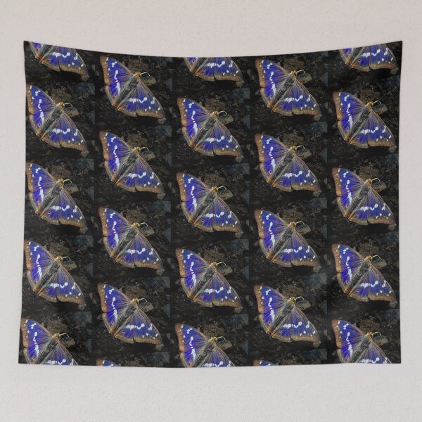 Item preview, Purple Emperor Butterfly picture designed and sold by Martyn R Arnold Fine Art Nature & Landscape Photography.