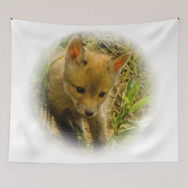 Item preview, Red fox cub designed and sold by Guardi71.