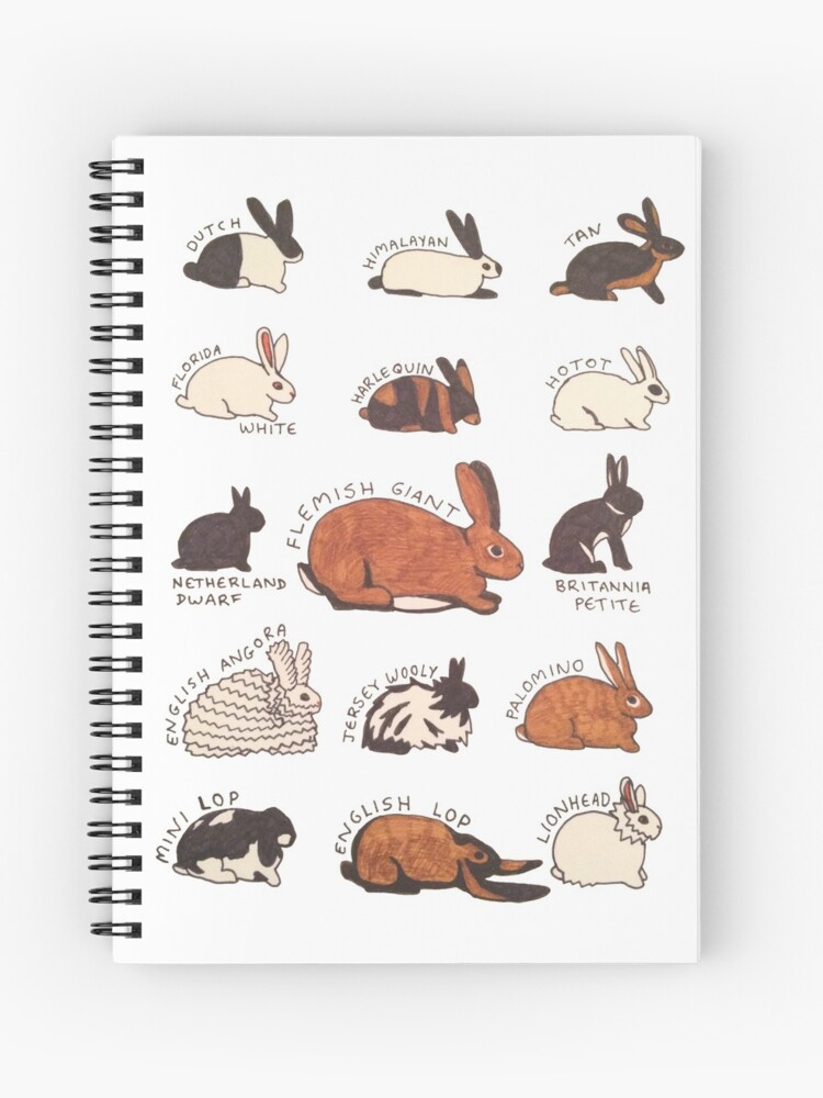 Rabbit Breeds | Spiral Notebook