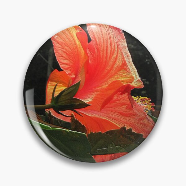 Item preview, Hibiscus Trio Rear View designed and sold by BostonArcImage.
