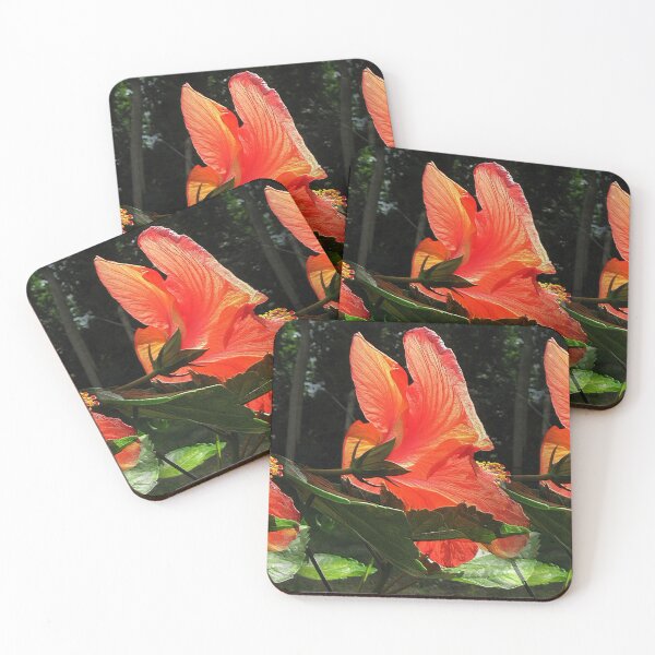 Item preview, Hibiscus Trio Rear View designed and sold by BostonArcImage.