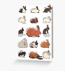 Rabbit Breeds Greeting Card
